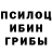 Галлюциногенные грибы мухоморы Zander Moore