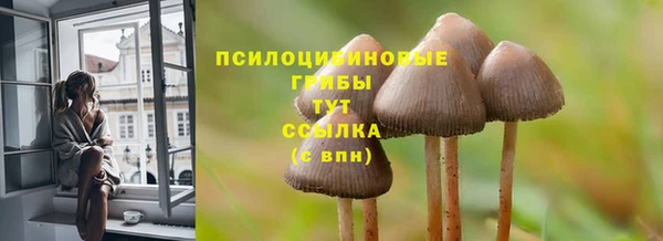 экстази Пересвет